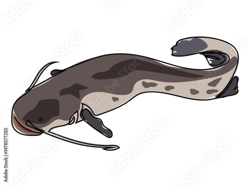 Catfish in continuous line drawing on a white background.