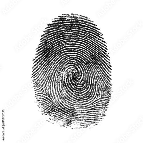 Detailed fingerprint pattern isolated on a transparent background for security identification