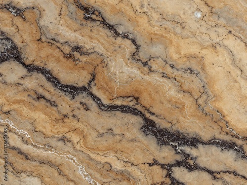 Tan Stone Texture with Dark Veins