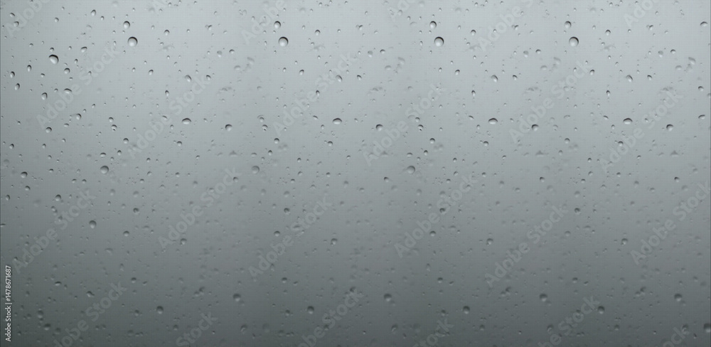 The concept of raindrops falling on a gray background. Water drops on white background texture. backdrop glass covered with drops of water. gray bubbles in water The concept of raindrops falling on a gray background. Water drops on white background texture. backdrop glass covered with drops of water. gray bubbles in water