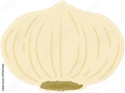 Garlic Bulb Drawing – Hand Sketched Herb Vector