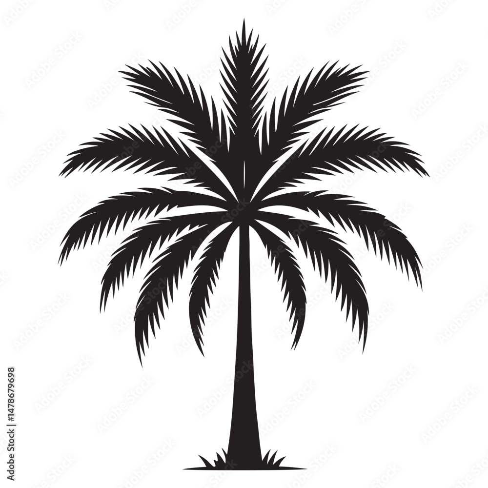 Obraz premium Palm tree Silhouette
