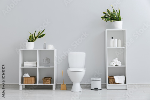 Ceramic toilet bowl, bin, b...