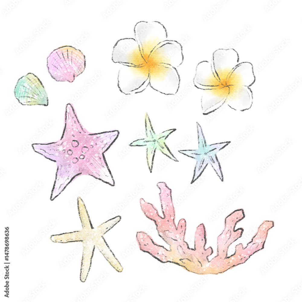 ヒトデと貝殻と珊瑚とプルメリアの水彩イラスト 南国イメージの素材セット ヒトデと貝殻と珊瑚とプルメリアの水彩イラスト 南国イメージの素材セット