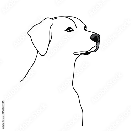 Loyal dog waiting near front door

