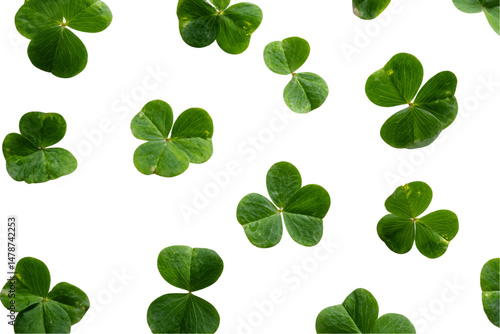 Green Clover Leaves on Transparent Background, PNG