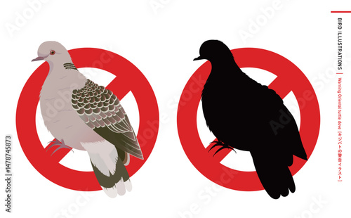 鳩やキジバトなどの野鳥シルエットとリアルなカラーベクターイラスト：ハトのエサやり禁止・注意・警告などに使える