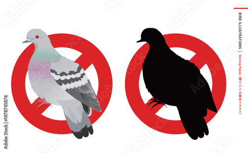 鳩やドバト(カワラバト)などの野鳥シルエットとリアルなカラーベクターイラスト：ハトのエサやり禁止・注意・警告などに使える