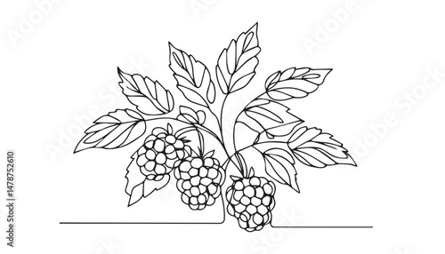 Continuous one single minimal line drawing grape fruit
