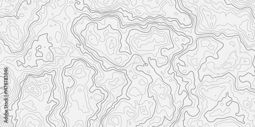  Topography and geography map grid abstract backdrop. Business concept. Topographic contour map. similarcartography illustration.Fish Fillet Texture, Salmon fillet texture, fish pattern. paper texture