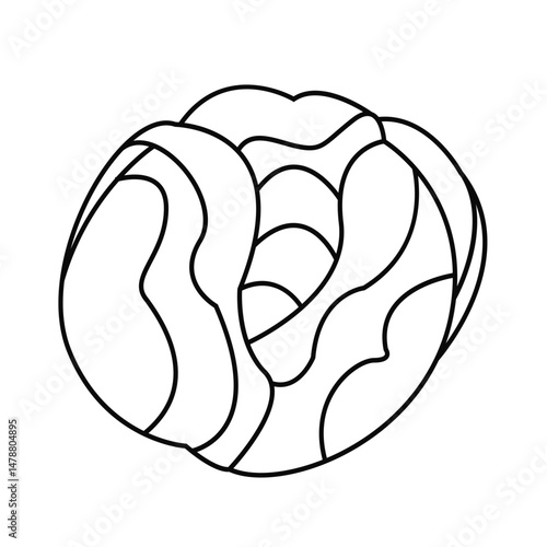Cabbage line isolated on white background. A bountiful harvest. Vector illustration