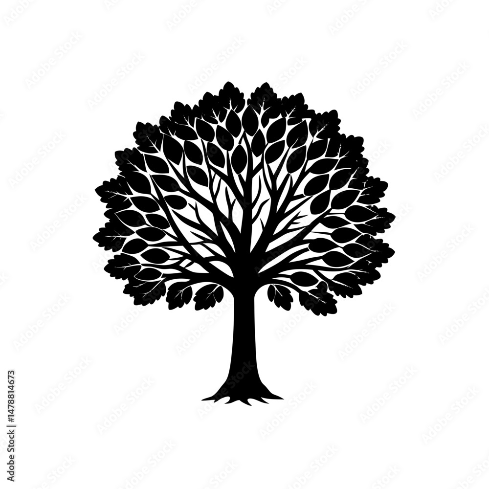 Naklejka premium beech .svg