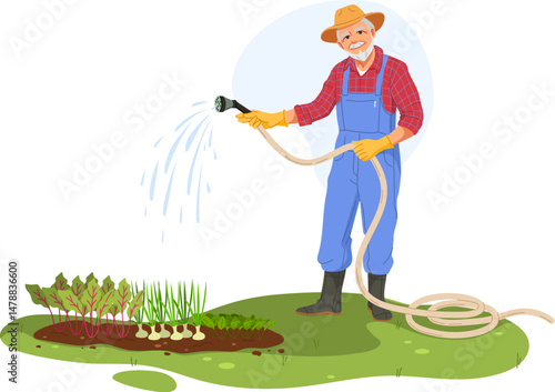 Cartoon smiling old farmer character watering garden bed with hose. Vegetables and fresh green plants growing on soil. Vector gardener worker man in hat, plaid shirt and rubber boots enjoys gardening