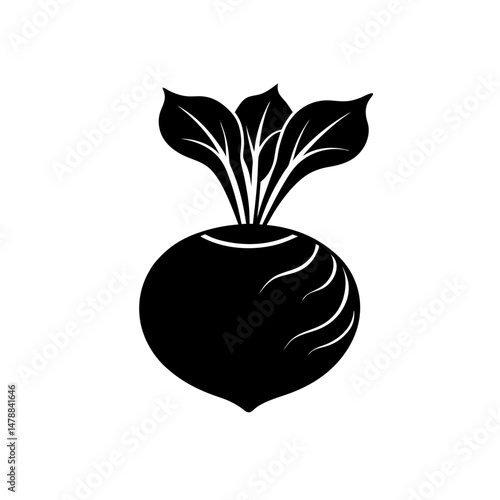 kohlrabi 