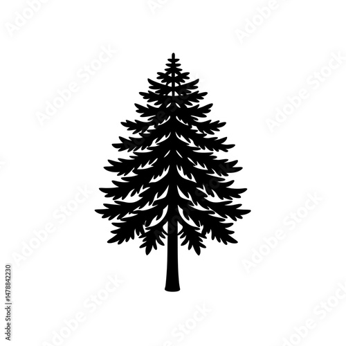 larch  