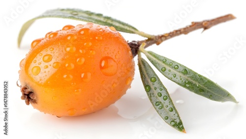 Single Whole Sea Buckthorn Berry on White Background – Studio Shot