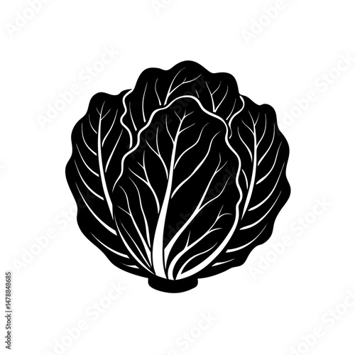 napa cabbage  .svg