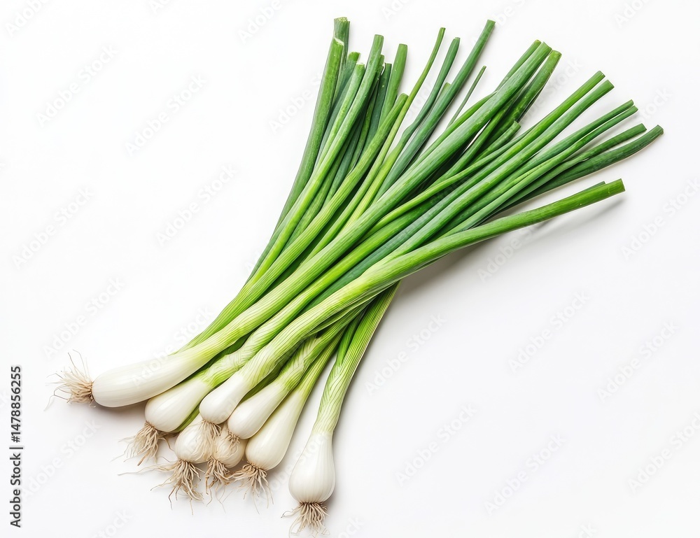 Fresh green onions Fresh green onions