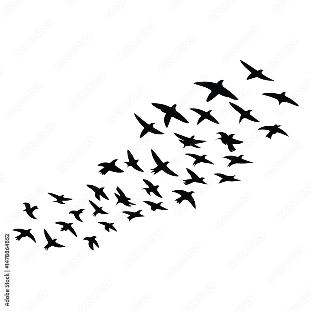 Obraz premium A silhouette of Flying bird Icon vector on a white background