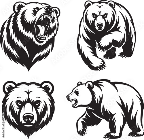 Four powerful bear head and body designs, perfect for logos or wildlife illustrations.