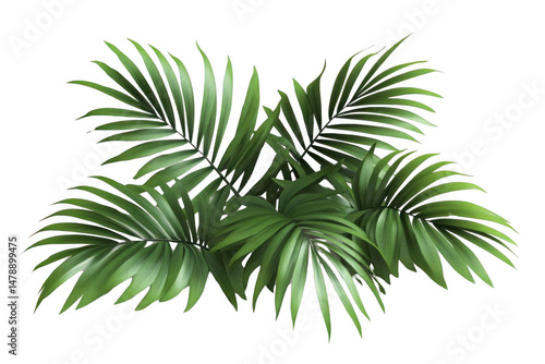 Green Palm Fronds Create Exotic Vibes With Tropical Style
