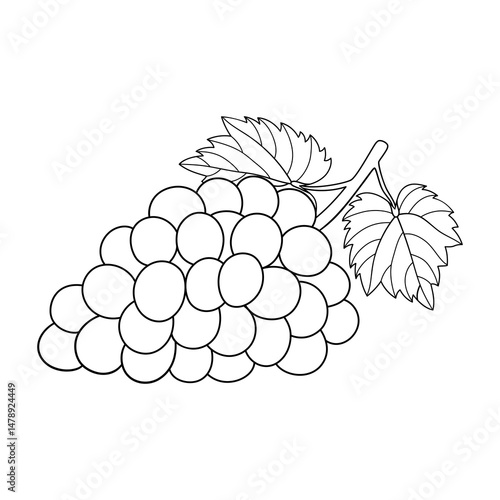 Hand-drawn Grapes Line Art Illustration