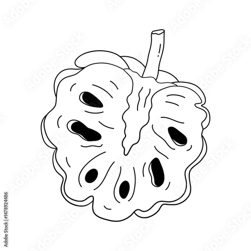 Custard Apple Fruit Line Art Illustration