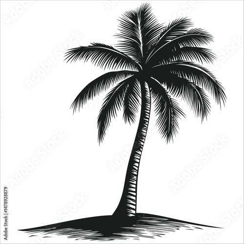 Incredibly Detailed Palm Tree