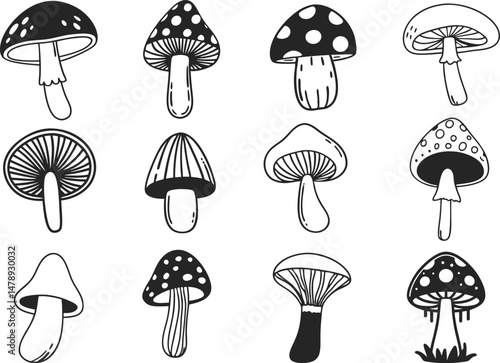 Hand drawn mushrooms vector illustration. Collection of mushrooms icon