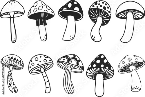 Hand drawn mushrooms vector illustration. Collection of mushrooms icon