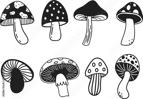 Hand drawn mushrooms vector illustration. Collection of mushrooms icon