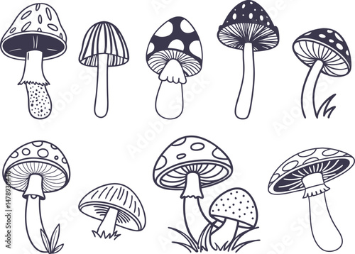 Hand drawn mushrooms vector illustration. Collection of mushrooms icon