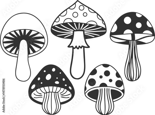 Hand drawn mushrooms vector illustration. Collection of mushrooms icon