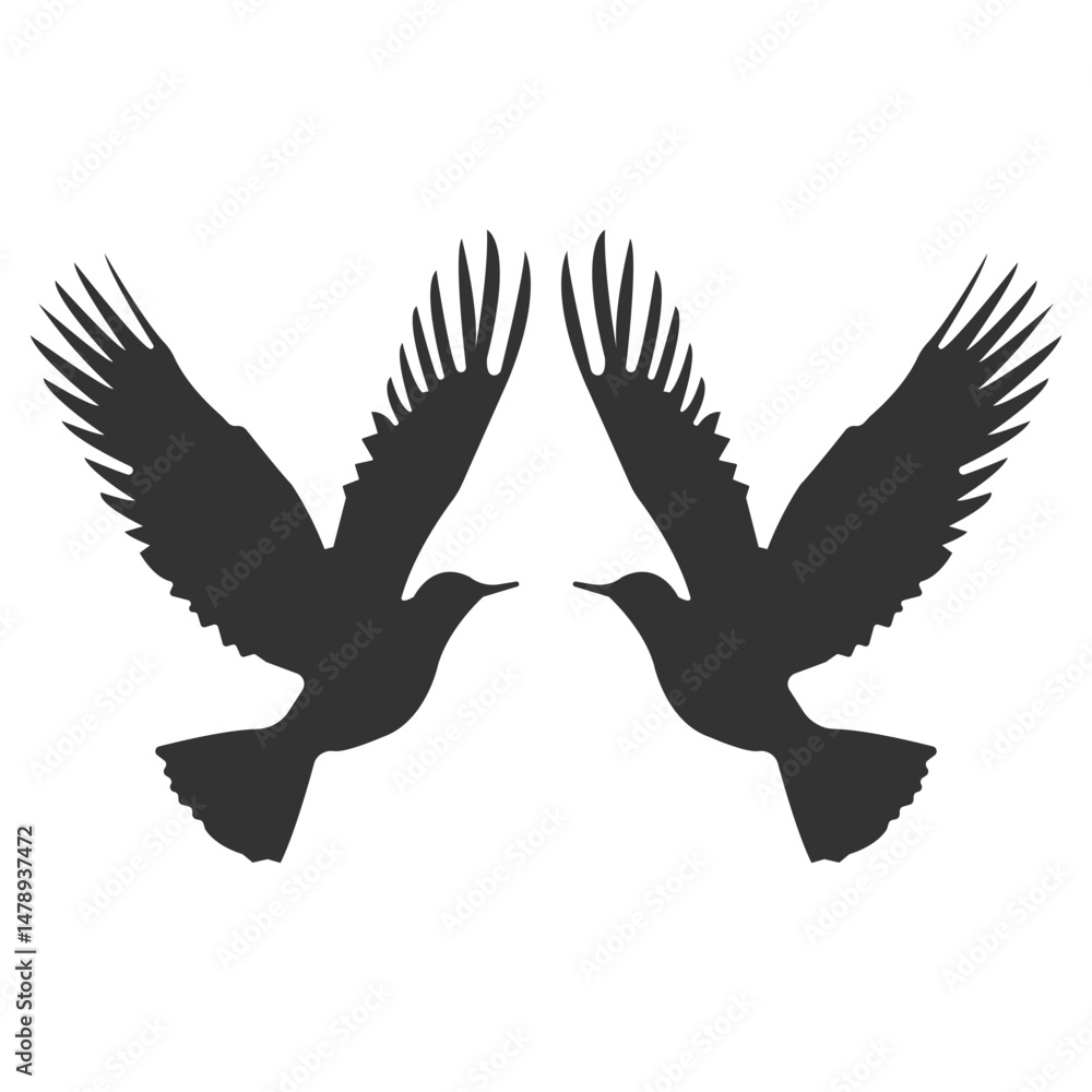 Obraz premium Flying Birds Silhouettes, Bird icon vector. 2 birds are fighting Silhouettes. Clip Arts, Flying Birds. Bird flying silhouette isolated on white background.