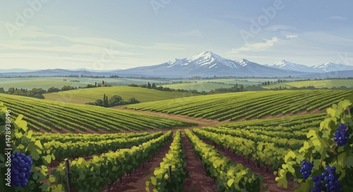 Wallpaper Mural Serene Vineyard Landscape Rolling Hills, Mountains, and Grapes Torontodigital.ca