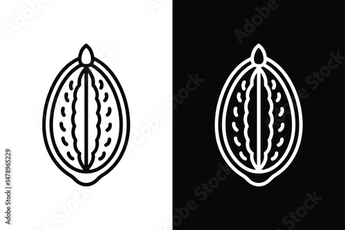 Walnut Seed Vector Illustration. Clean Line Art for Food and Wellness Graphics