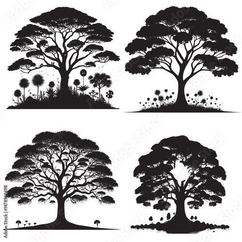 Sal Tree Silhouette set isolated on white background 