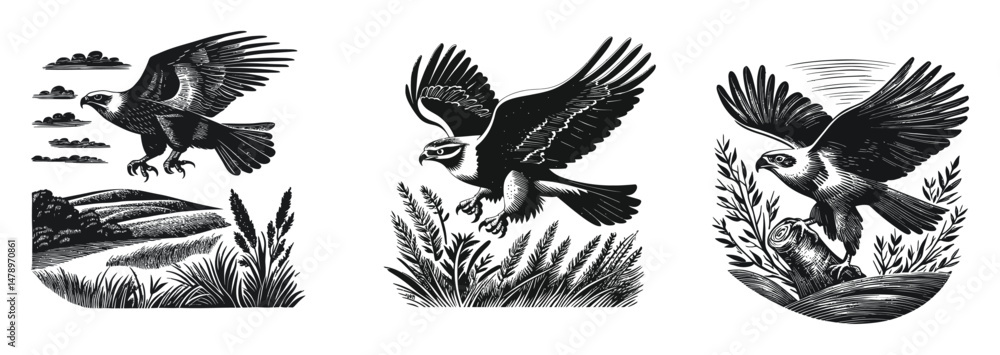 Black and White Illustrations of Birds in Flight with Natural Backgrounds Black and White Illustrations of Birds in Flight with Natural Backgrounds