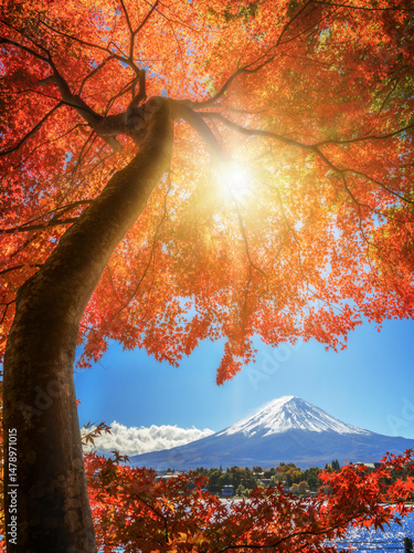 Autumn foliage with Mount Fuji, Japan landscape in fall