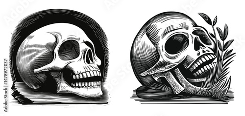 Detailed Black and White Illustration of Two Distinct Skull Designs
