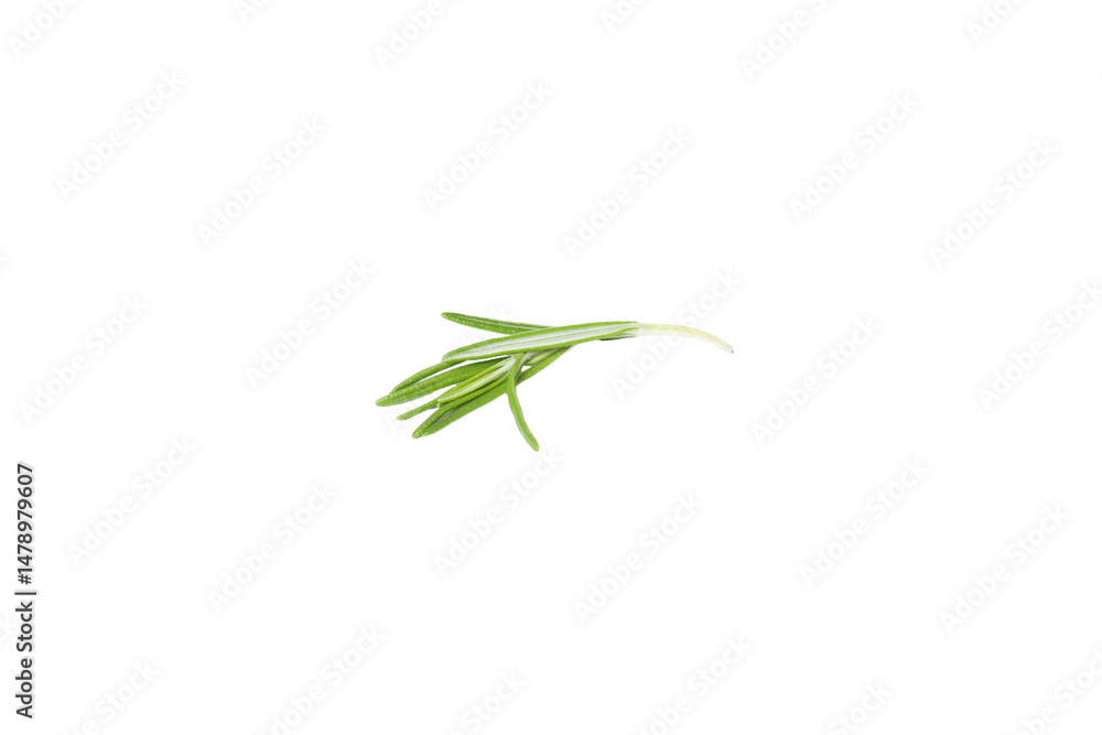 Fototapeta premium PNG, Rosemary, seasoning, isolated on white background
