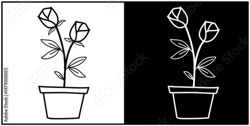 flowers in pots