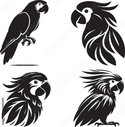 Parrot – Colorful Tropical Bird Known for Intelligence and Vibrant Plumage