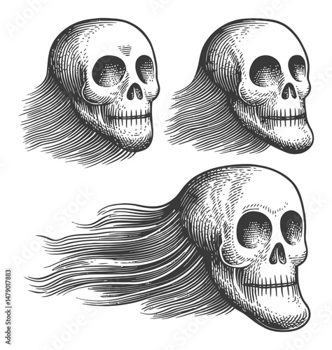Detailed Vintage Skull Illustrations with Unique Motion Effects
