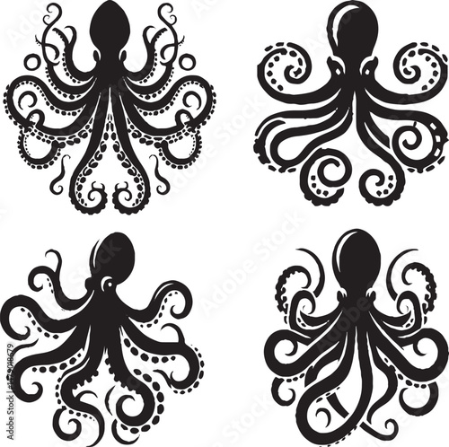 Octopus - Intelligent Marine Creature with Unique Camouflage and Flexible Tentacles