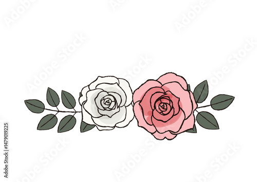 二輪の白とピンクのバラの花