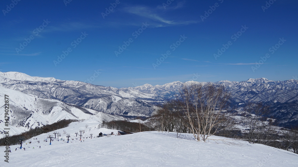 Fototapeta premium Sking at Hakuba Goryu Snow Resort, Nagano, Japan