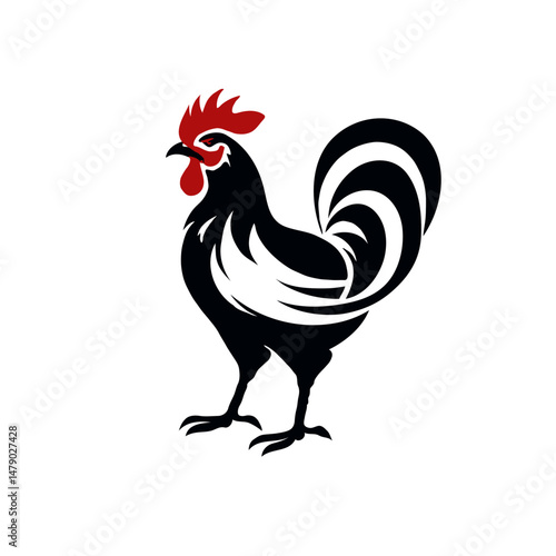 rooster vector illustration