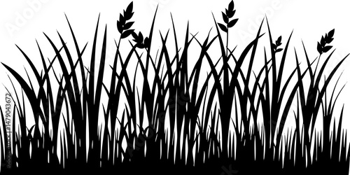 Wallpaper Mural grass silhouette vector illustration, Growing Grass and Cultivated Lawn Silhouettes and Symbols Torontodigital.ca