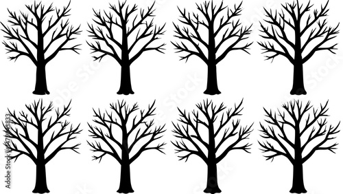 Collections dead tree against isolated on white background, clipping path